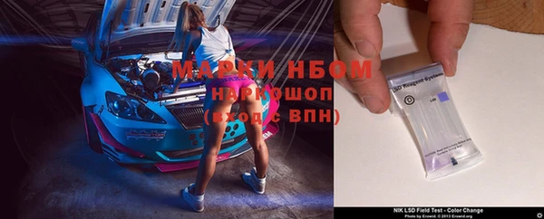 индика Арсеньев