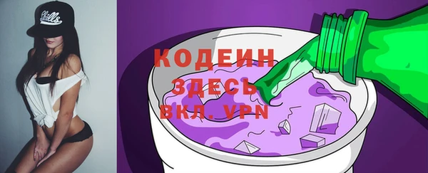 индика Арсеньев
