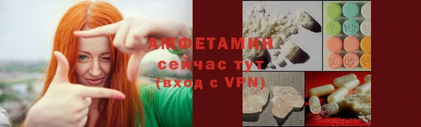 индика Арсеньев