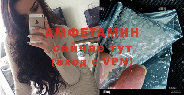 индика Арсеньев