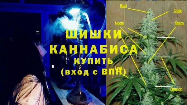PSILOCYBIN Армянск