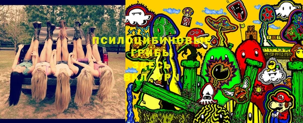 индика Арсеньев
