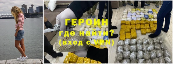 индика Арсеньев