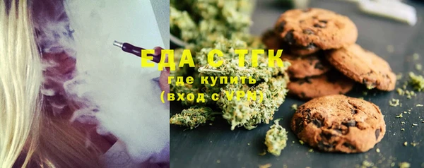 индика Арсеньев