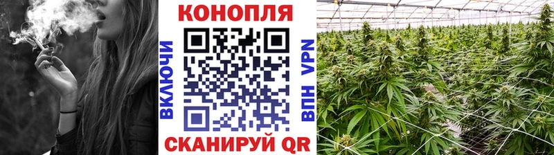 Шишки марихуана планчик Артёмовск